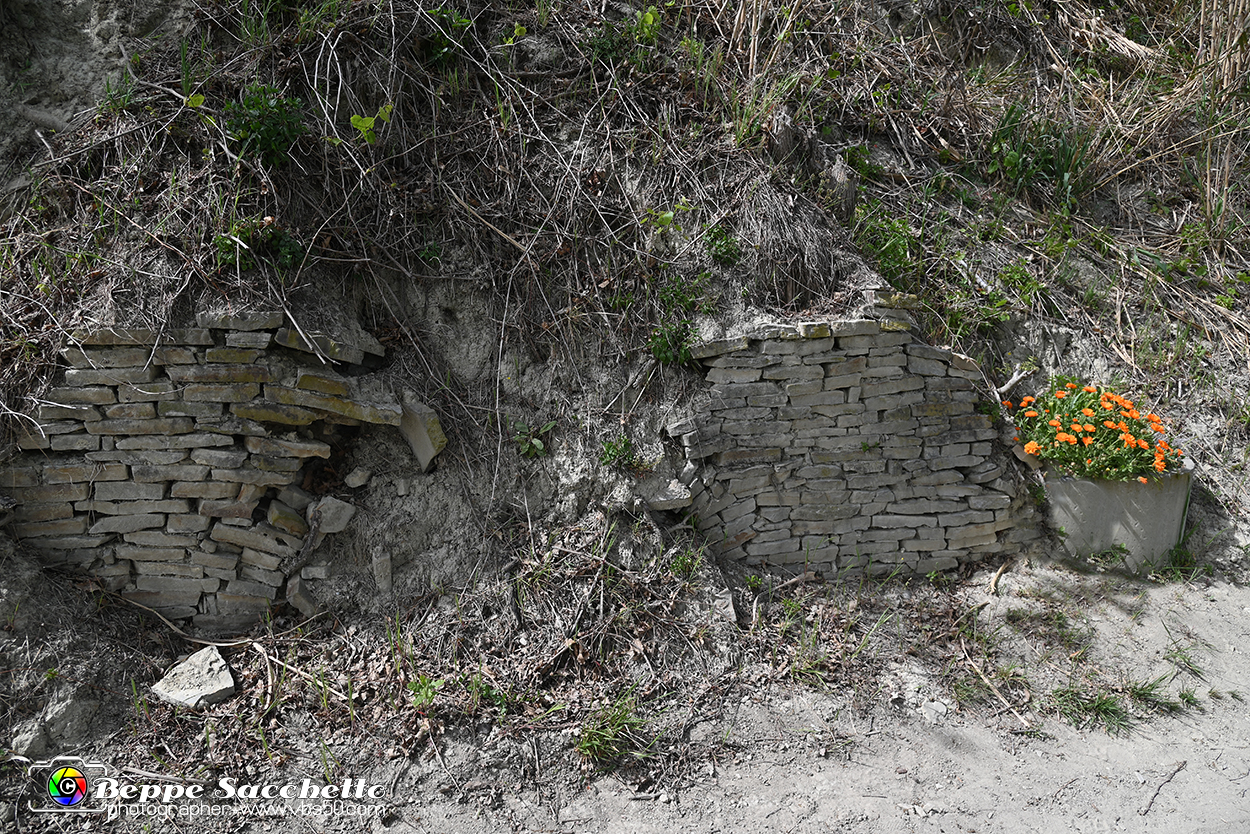 VBS_3196 - Mango (Cuneo) - Gnomovia.jpg